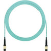 Panduit FZTRL5N5NANM012