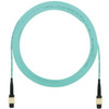 Panduit FXTRP5N5NANF020
