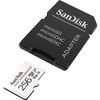 SanDisk SDSQQNR-256G-AN6IA