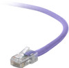 A3L791-10-PUR , Belkin Cat5e, 10ft, 1 x RJ-45, 1 x RJ-45, Purple networking cable 118.1" (3 m) - A3L791-10-PUR