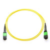 MPOFMSM2M-AX , Axiom MPO M/M 2m InfiniBand/fibre optic cable 78.7" (2 m) MPO/MTP Yellow - MPOFMSM2M-AX