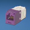 CJ688TGVL , Panduit Copper Jack Module Violet - CJ688TGVL