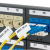 F100X150AJC , Panduit F100X150AJC patch panel accessory