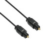 TOSLINKT20-AX , Axiom TOSLINKT20-AX InfiniBand/fibre optic cable 240.2" (6.1 m) TOSLINK Black
