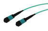 MTPF2XO-OM4-30M-ENC , eNet Components MTPF2XO-OM4-30M-ENC InfiniBand/fibre optic cable 1181.1" (30 m) MPO/MTP Aqua color
