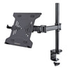A-LAPTOP-DESK-MOUNT , StarTech.com A-LAPTOP-DESK-MOUNT laptop stand Laptop arm Black 34"