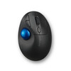 Kensington Pro Fit Ergo TB450 mouse Right-hand RF Wireless + Bluetooth - K72194WW