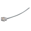 Black Box 25ft, RJ-11 - RJ-11 299.2" (7.6 m) Gray - EL04M-25