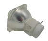 BTI 9R-C-260W- projector lamp - 9R-C-260W-BTI
