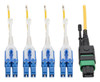 Tripp Lite N390-02M-8LC-AP InfiniBand/fibre optic cable 78.7" (2 m) MTP LC OFNP Yellow
