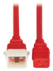 Eaton P036-E06-ARD-6 power cable Red 70.9" (1.8 m) C20 coupler C19 coupler , P036-E06-ARD-6