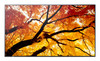 Sharp MultiSync PN-M982 Interactive flat panel 97.5" LED 550 cd/m² 4K Ultra HD Black 24/7 , PN-M982