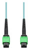AddOn Networks ADD-AMPOAMPO-2M5OM4LZ InfiniBand/fibre optic cable 78.7" (2 m) MPO OFNG Aqua color , ADD-AMPOAMPO-2M5OM4LZ