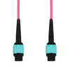 AddOn Networks ADD-MPOMPO-12M5OM4-MA InfiniBand/fibre optic cable 472.4" (12 m) MPO OFNR Aqua color, Magenta , ADD-MPOMPO-12M5OM4-MA