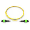 Accortec MFP7E30-N060-ACC InfiniBand/fibre optic cable 2362.2" (60 m) MPO OFNR Yellow , MFP7E30-N060-ACC