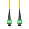 AddOn Networks MFP7E30-N050-AO InfiniBand/fibre optic cable 1968.5" (50 m) MPO OFNG Yellow , MFP7E30-N050-AO