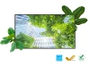 CDE65G3 |Viewsonic 65" 4K OSfree COMM Dsply - CDE65G3