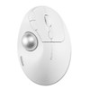 K72179WW |Kensington PROFIT ERGO TB450 EQ WHT R - K72179WW