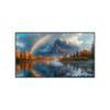CDE6514 |Viewsonic 65" 4K Commercial LED - CDE6514