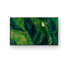 FW50BZ35P |Sony- FW50BZ35P 50" Enhanced Pro Bravia 3820x2160 4K HDR Professional Display