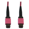 N845B-10M-12-MG , Tripp Lite N845B-10M-12-MG InfiniBand/fibre optic Cable 393.7" (10 m) MPO/MTP OFNR Black, Magenta