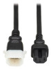 P018-E03-6 , Eaton P018-E03-6 Power Cable Black 35.4" (0.9 m) C14 coupler C15 coupler