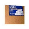 Epson S041599