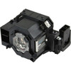 Arclyte PL02408
