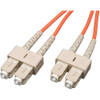 Tripp Lite N306-100M
