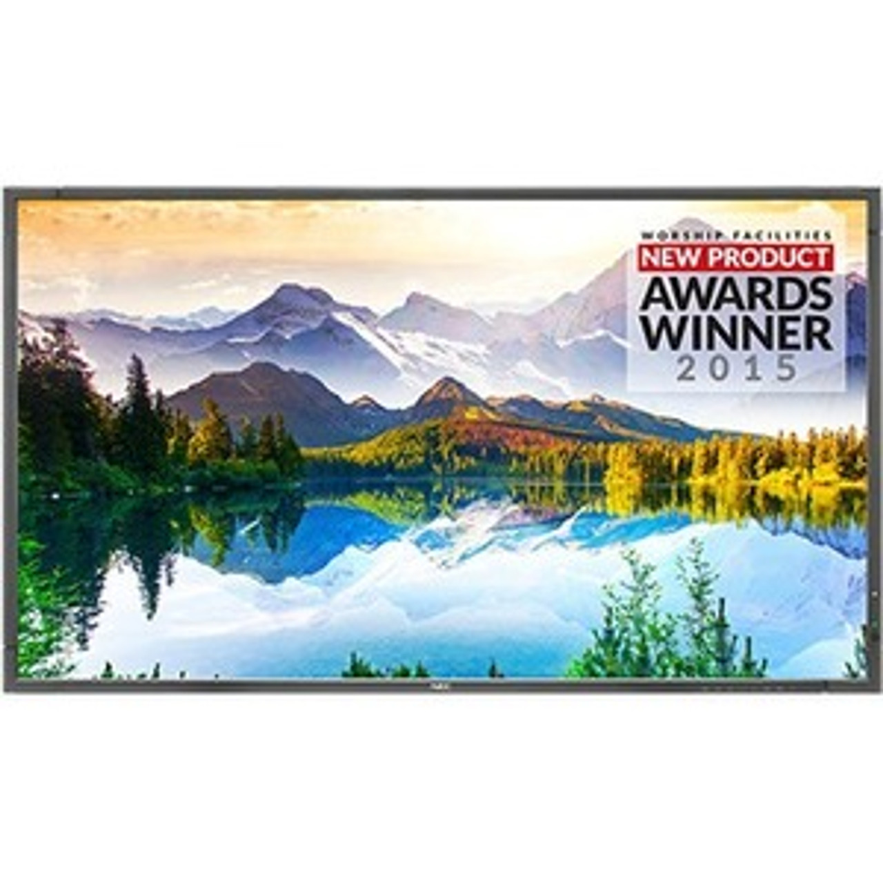 NEC Display E905-PC3