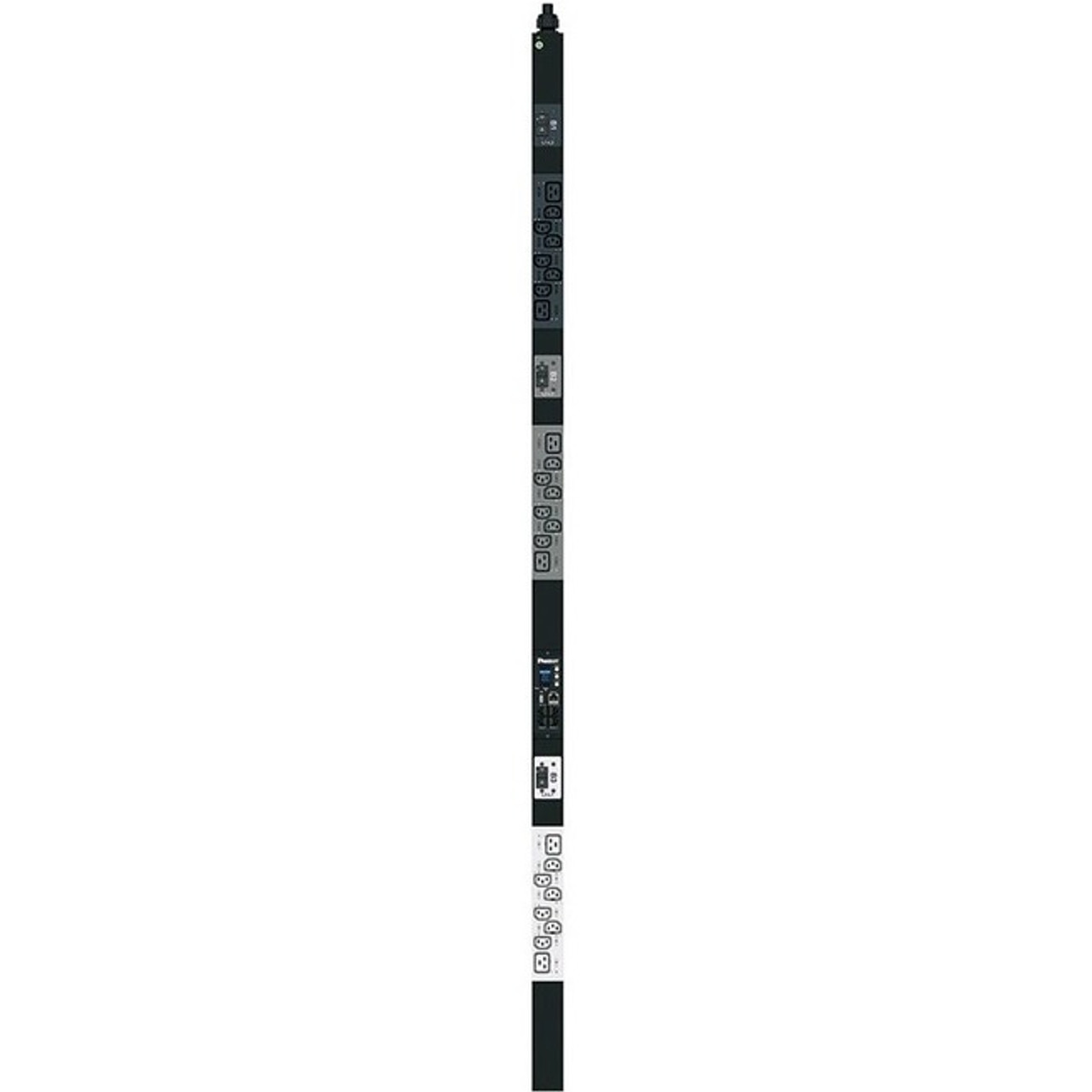 Panduit P24F02M-BL1A