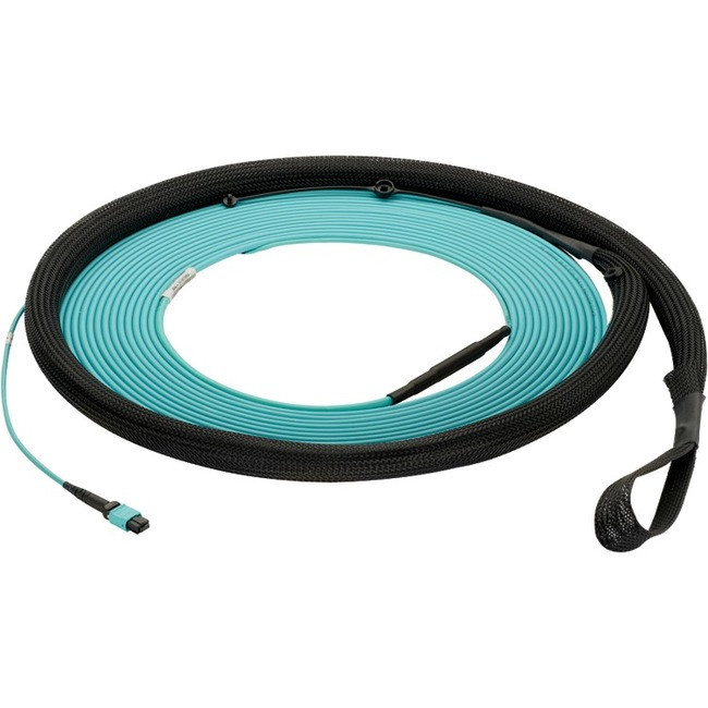 Panduit FZTYP5E5EAAF113