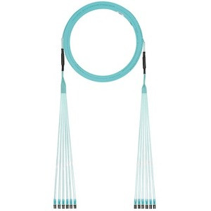 Panduit FZTYPL2L2SAF080