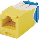 Panduit CJ6X88TGYL-C