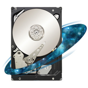 Seagate ST32000646NS