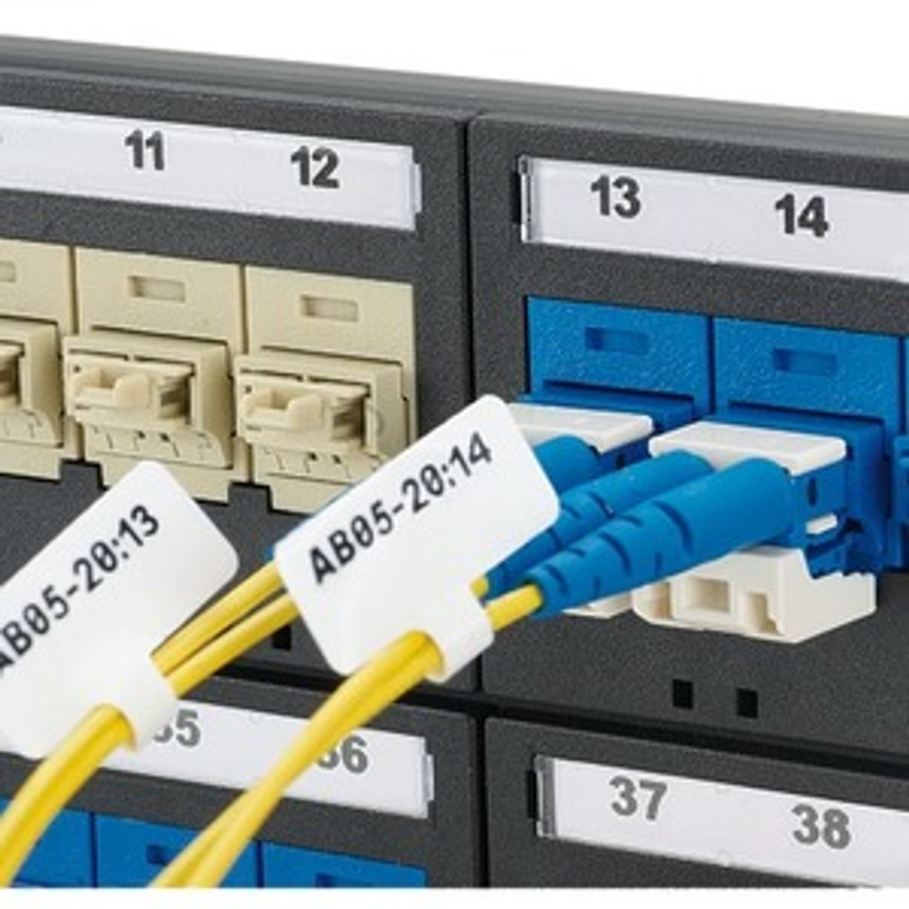 Panduit F100X300AJT