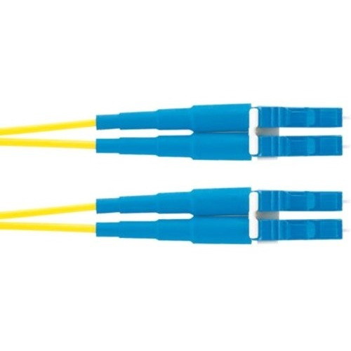 Panduit F92ERLNLNSNM042