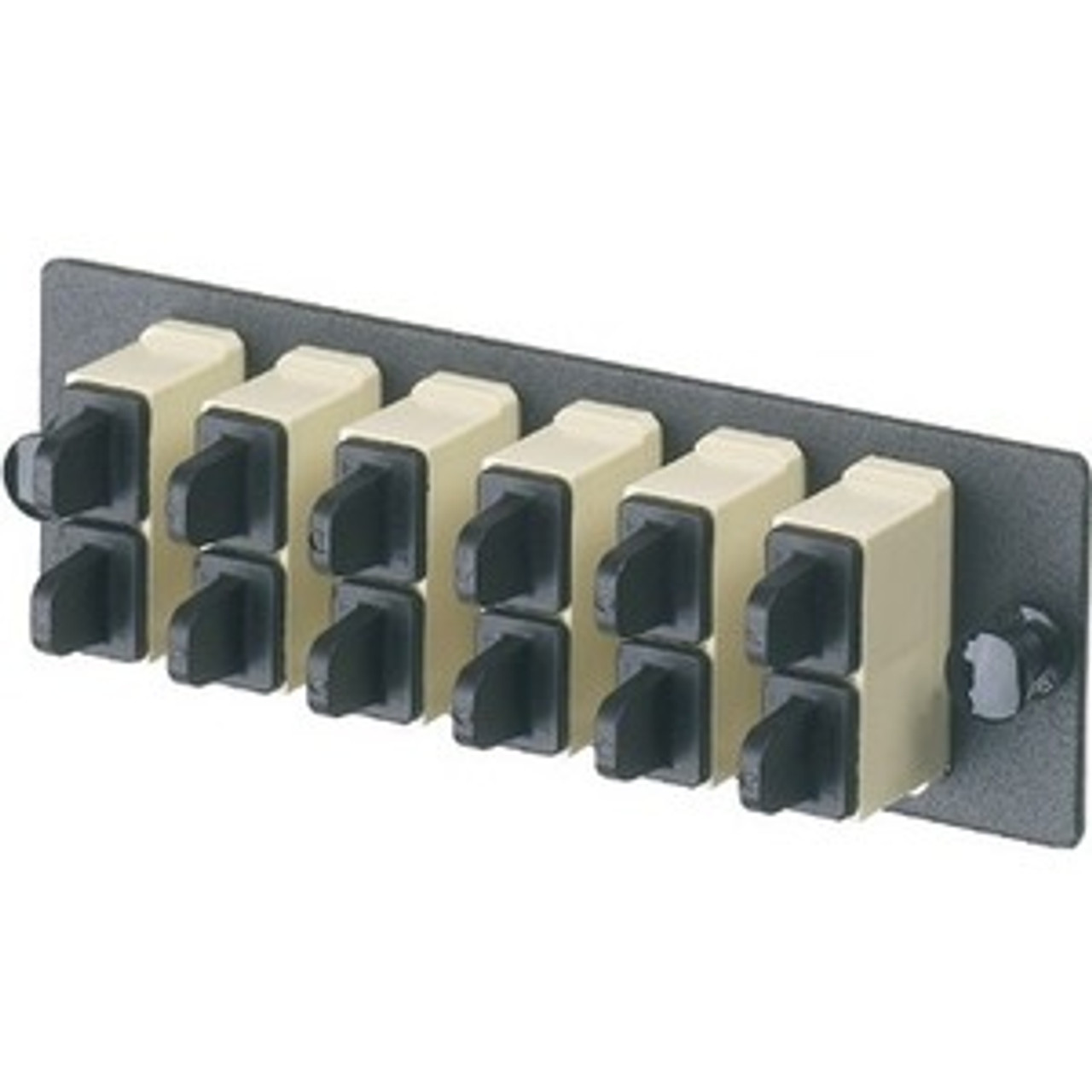 Panduit FAP6WBLDSC