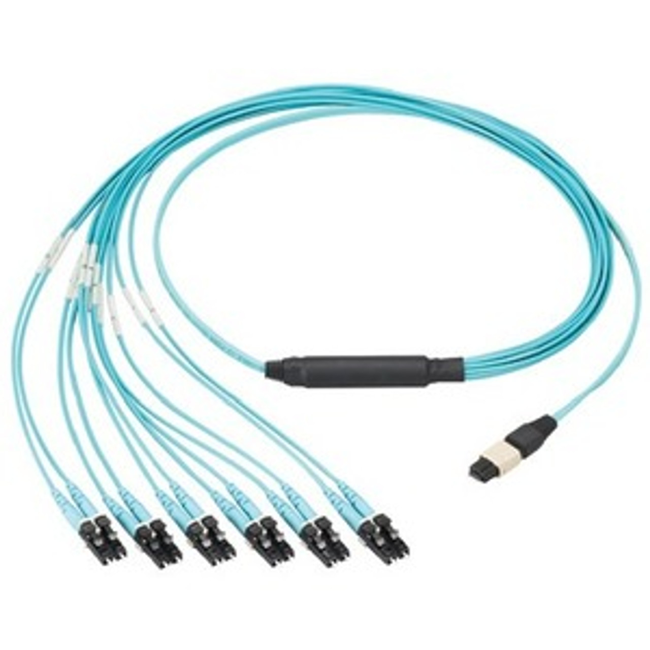 Panduit FXTHP5NLSSNM004