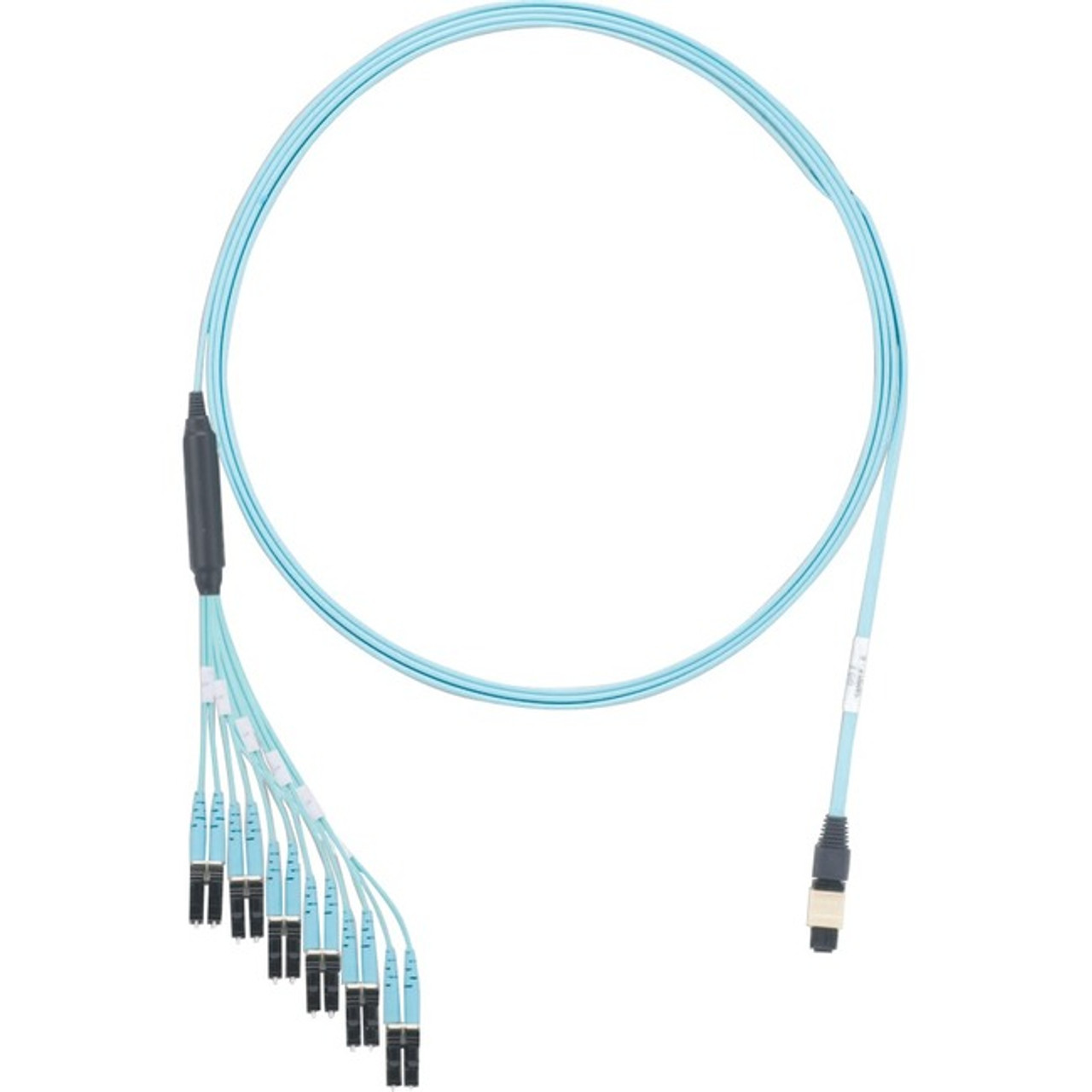 Panduit FZTHP5NLSSNF007
