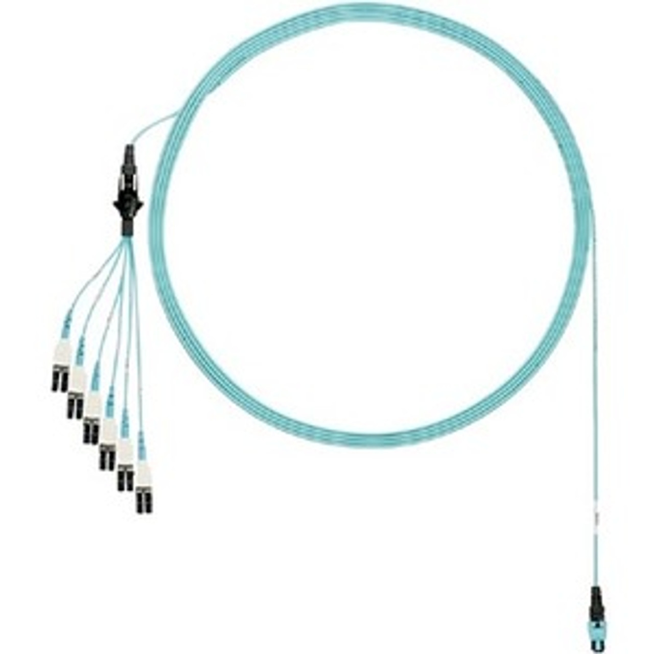 Panduit FZTRP8NUJSNF006