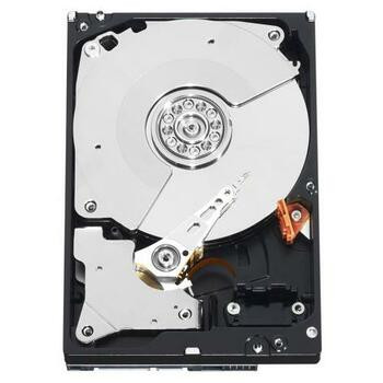 0F10834 Hitachi 250GB 7200RPM SATA 3.0 Gbps 3.5 8MB Cache Deskstar Hard Drive