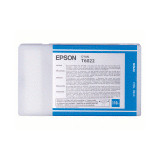 Epson T602200