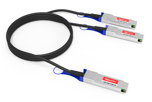 Accortec CAB-D-2Q-400G-2M-ACC InfiniBand/fibre optic cable 78.7" (2 m) QSFP-DD 2x QSFP56 DAC Black , CAB-D-2Q-400G-2M-ACC