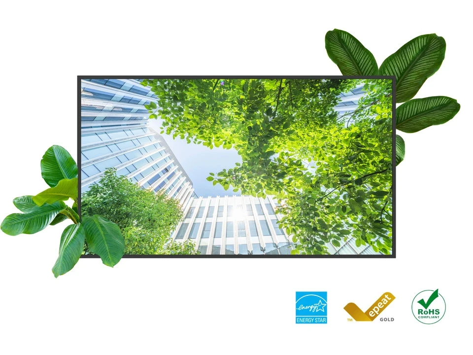 CDE65G3 |Viewsonic 65" 4K OSfree COMM Dsply - CDE65G3