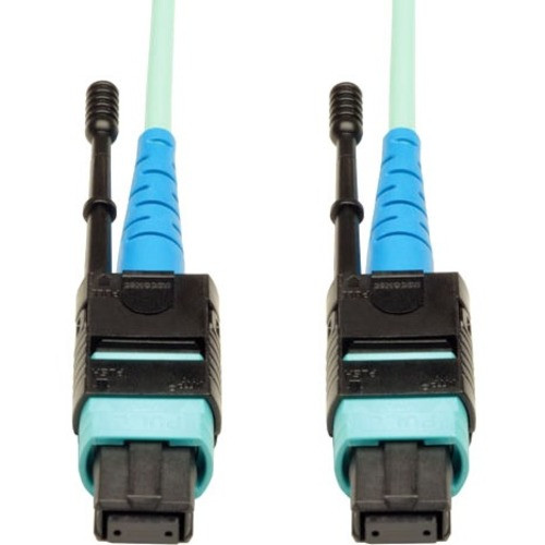 Tripp Lite N846-01M-24-P
