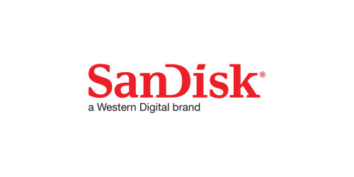 SanDisk SDCFSP-256G-A46D