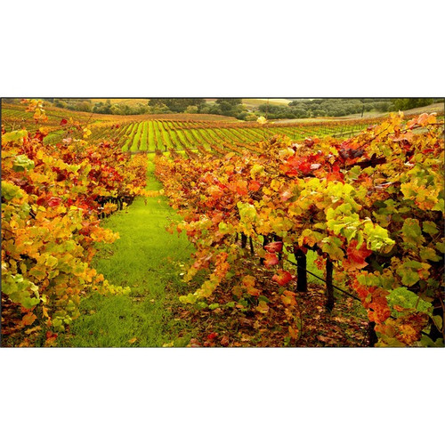 NEC Display X554UNS-R