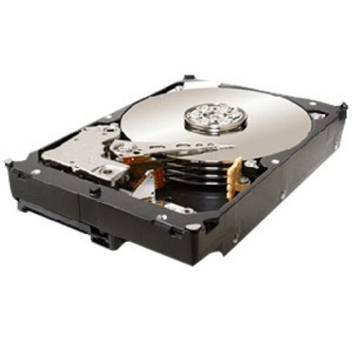 Seagate ST31000524NS