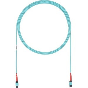 Panduit FZURLENENYNM026